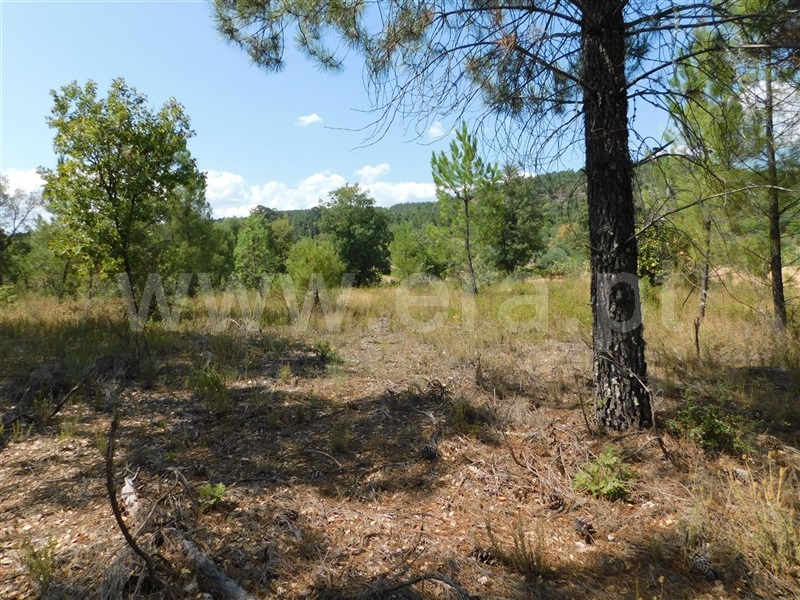 Terreno  Fundão, Quintãs - 1034505 - 8