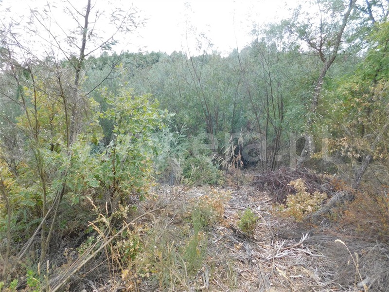 Terreno  Fundão, Quintãs - 1034505 - 9