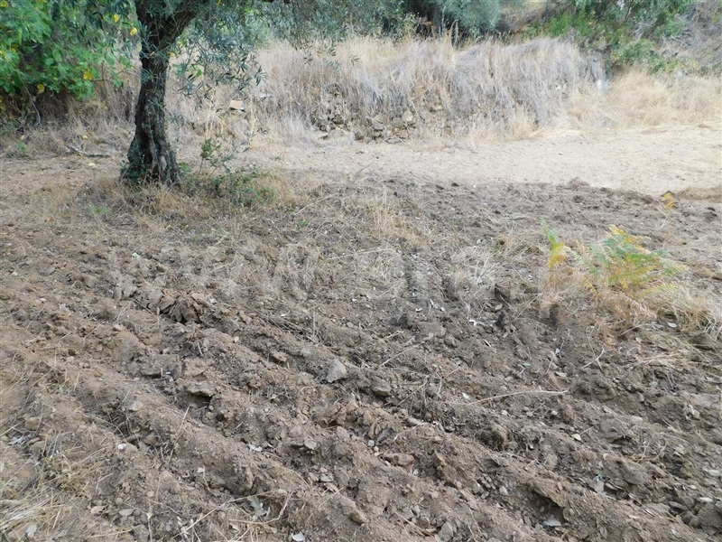 Terreno  Fundão, Quintãs - 1034505 - 11