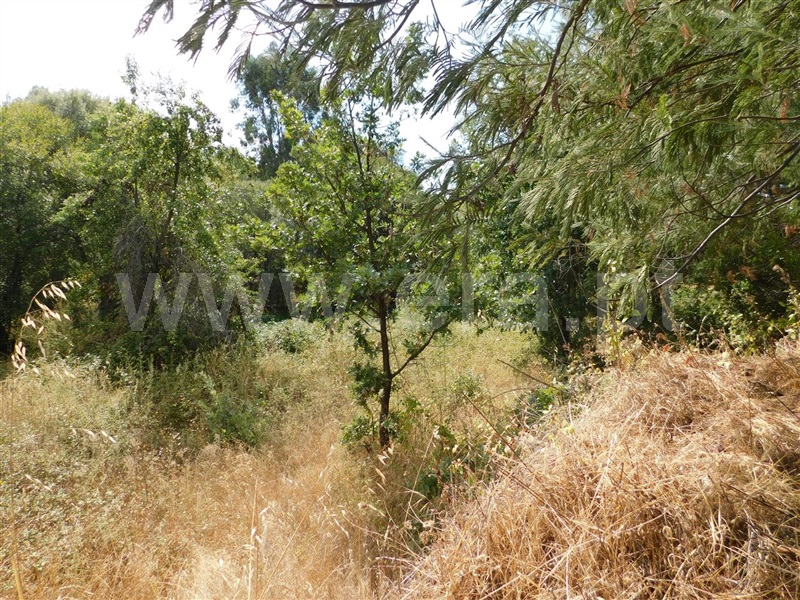Terreno  Fundão, Quintãs - 1034505 - 12
