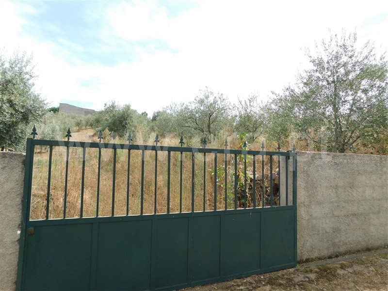 Terreno / Fundão, Quintãs