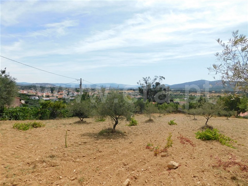 Terreno  Fundão, Salgueiro - 1029016 - 2