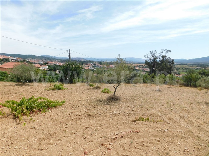 Terreno  Fundão, Salgueiro - 1029016 - 3