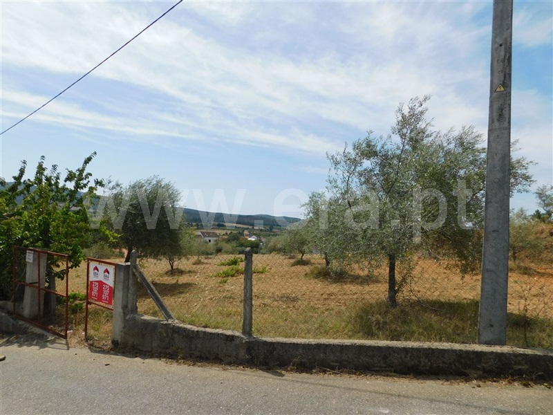 Terreno  Fundão, Salgueiro - 1029016 - 4