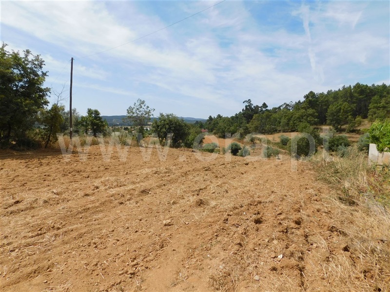 Terreno / Fundão, Salgueiro