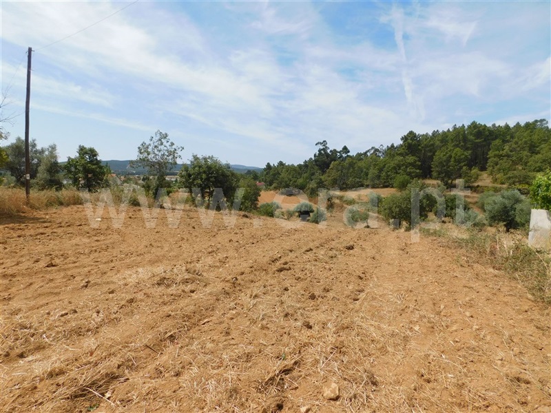 Terreno  Fundão, Salgueiro - 1029030 - 2