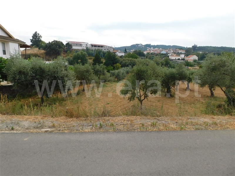 Terreno  Fundão, Salgueiro - 1034543 - 3