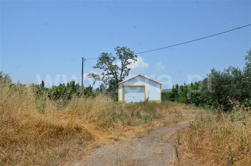 Terreno / Fundão, Salgueiro