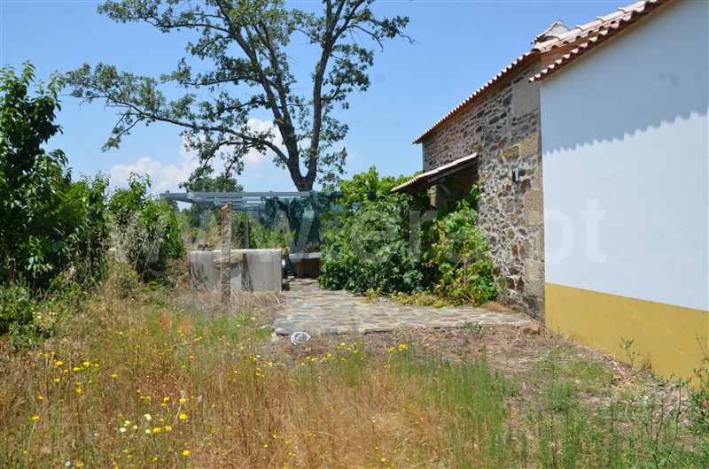 Terreno  Fundão, Salgueiro - 1100114 - 3