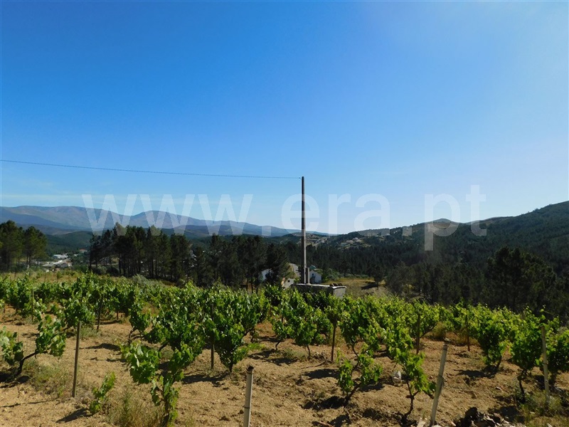 Terreno  Fundão, Silvares - 1012773 - 3