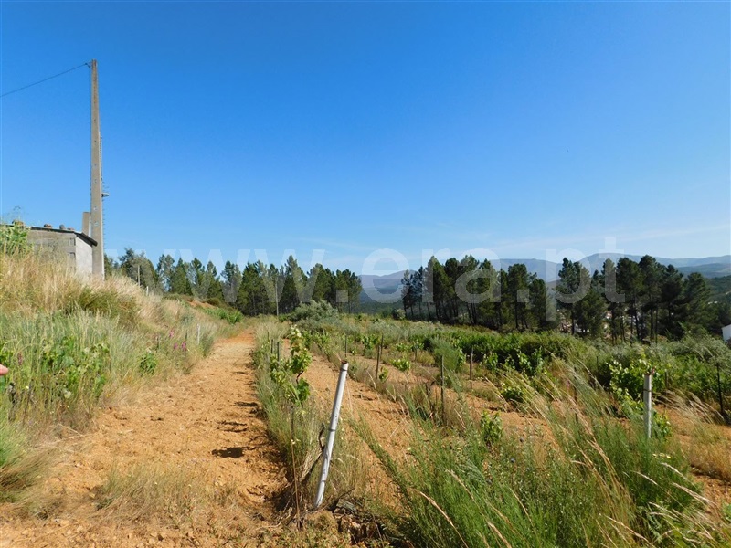 Terreno  Fundão, Silvares - 1012773 - 4