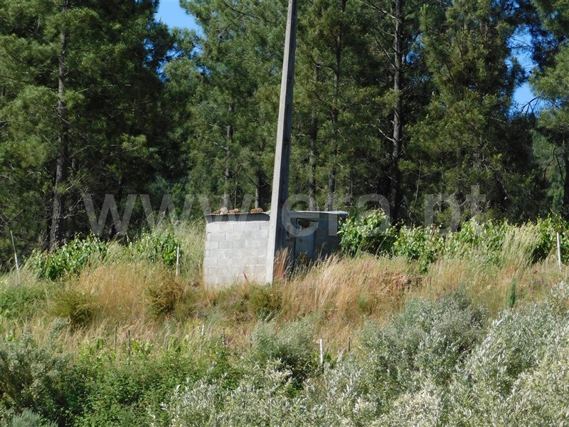 Terreno  Fundão, Silvares - 1012773 - 8