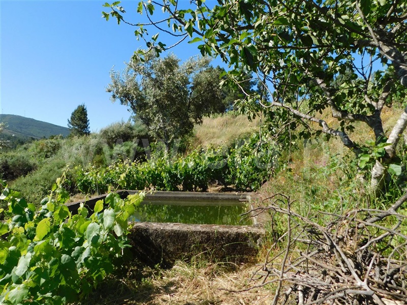 Terreno  Fundão, Silvares - 1012773 - 11