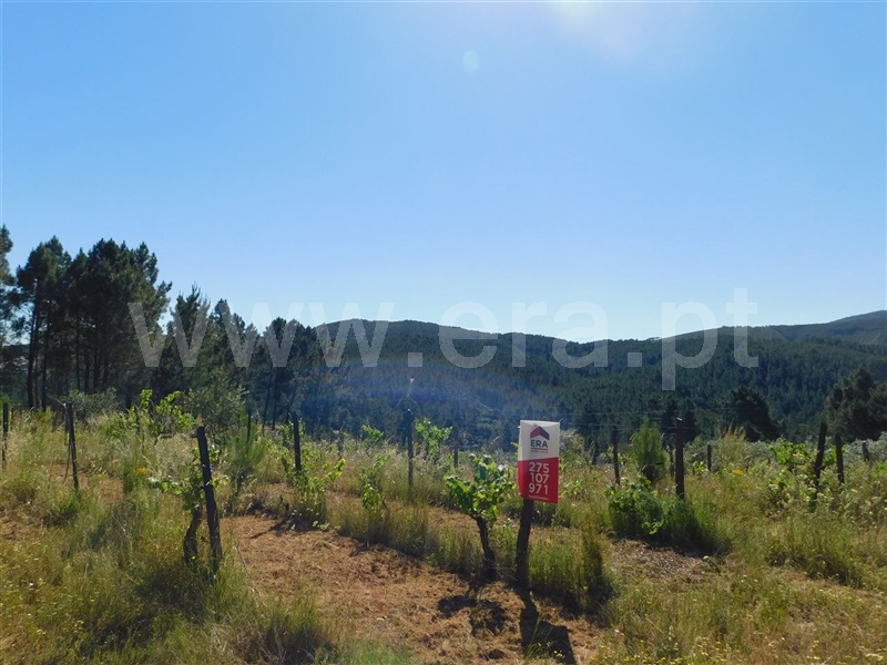 Terreno  Fundão, Silvares - 1012773 - 13