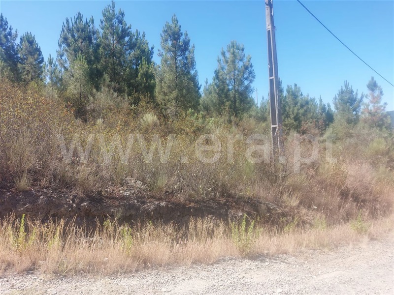 Terreno  Fundão, Silvares - 1265606 - 3