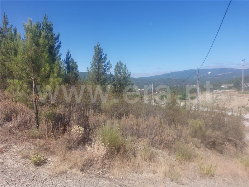 Terreno  Fundão, Silvares - 1265606 - 4