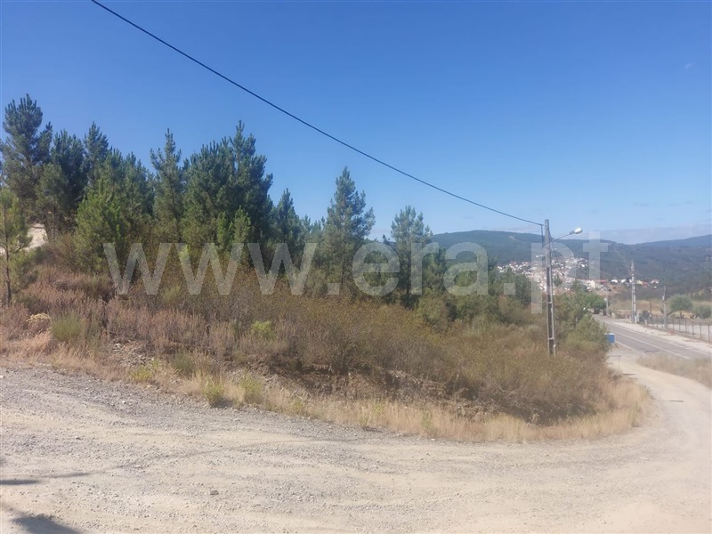 Terreno  Fundão, Silvares - 1265606 - 5
