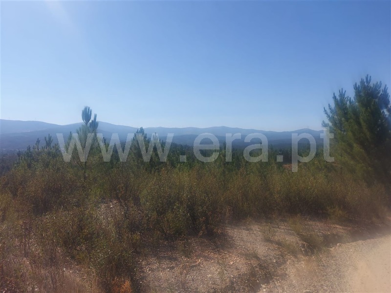 Terreno  Fundão, Silvares - 1265606 - 6
