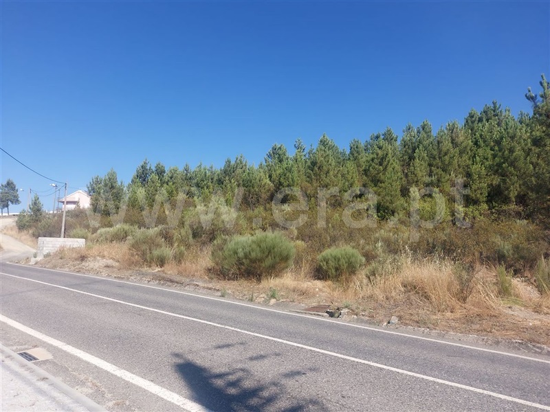 Terreno  Fundão, Silvares - 1265606 - 7