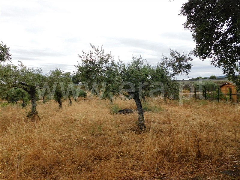 Terreno  Fundão, Soalheira - 1020613 - 2