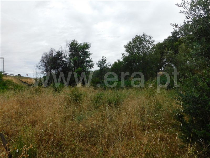 Terreno  Fundão, Soalheira - 1020613 - 4
