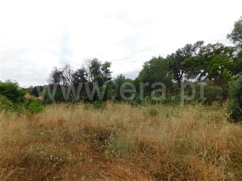 Terreno  Fundão, Soalheira - 1020613 - 5