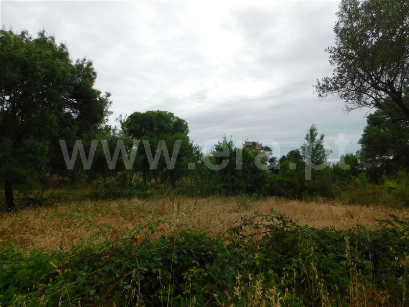 Terreno  Fundão, Soalheira - 1020615 - 3