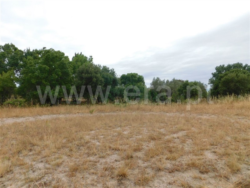 Terreno  Fundão, Soalheira - 1020615 - 4