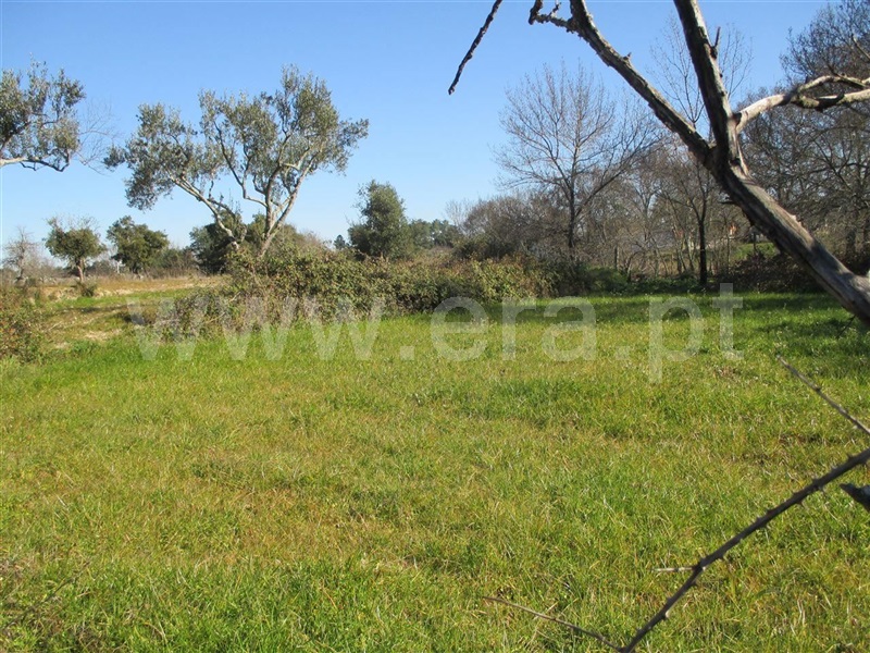 Terreno  Fundão, Soalheira - 1020615 - 5