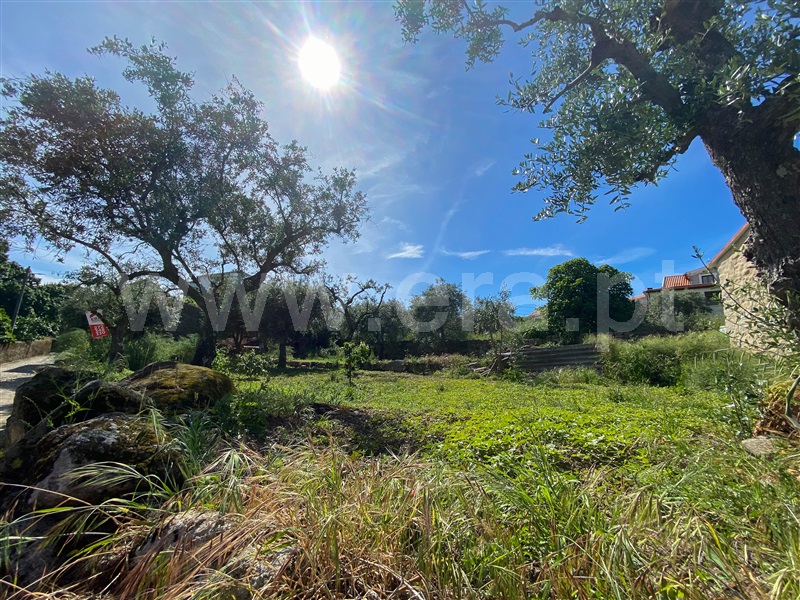 Terreno  Fundão, Soalheira - 1402845 - 2