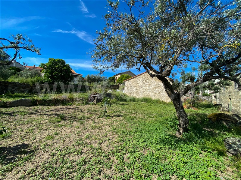 Terreno  Fundão, Soalheira - 1402845 - 3
