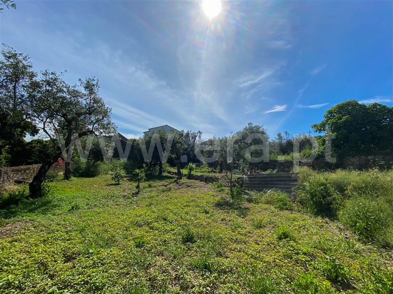 Terreno  Fundão, Soalheira - 1402845 - 5