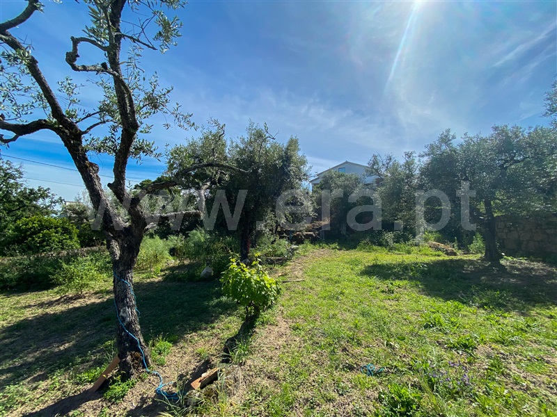 Terreno  Fundão, Soalheira - 1402845 - 8