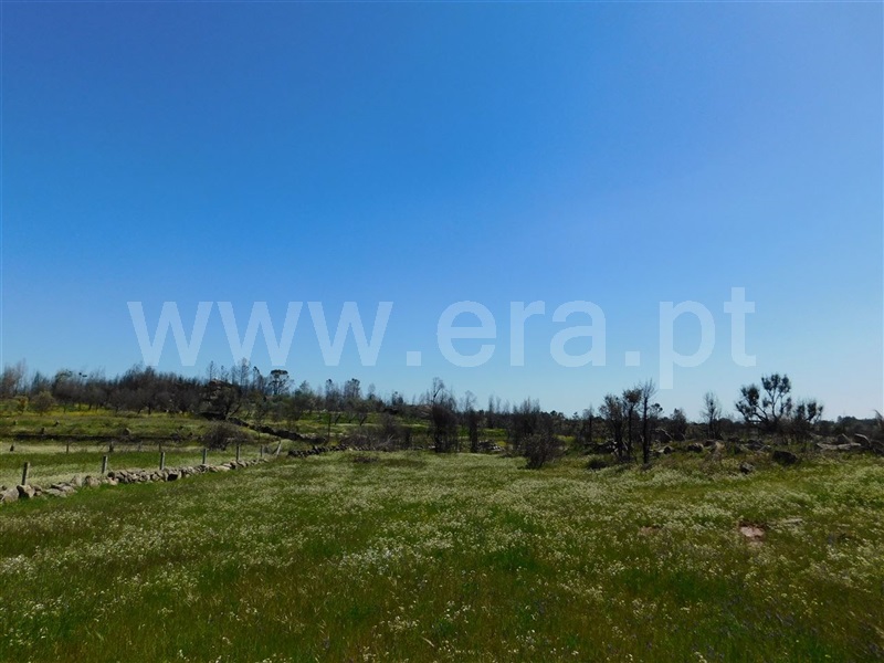 Terreno  Fundão, Soalheira - 908315 - 3
