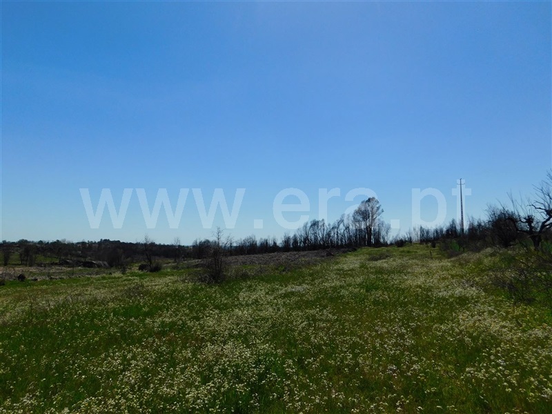 Terreno  Fundão, Soalheira - 908315 - 8