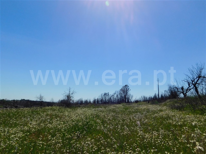 Terreno  Fundão, Soalheira - 908315 - 9