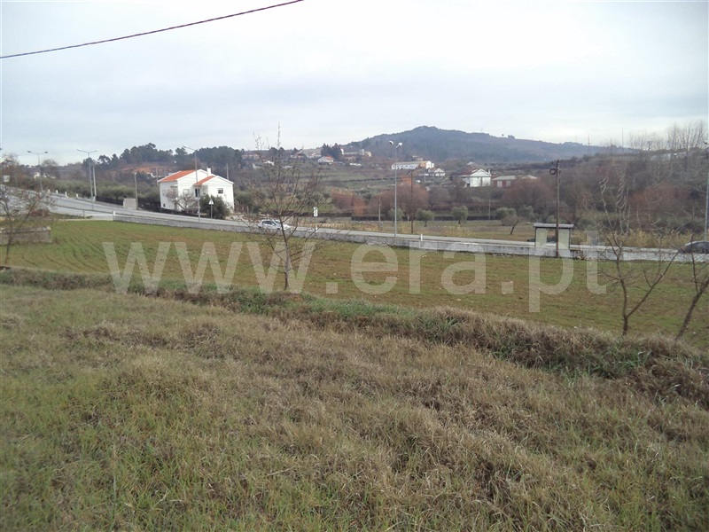 Terreno / Fundão, Souto Alto