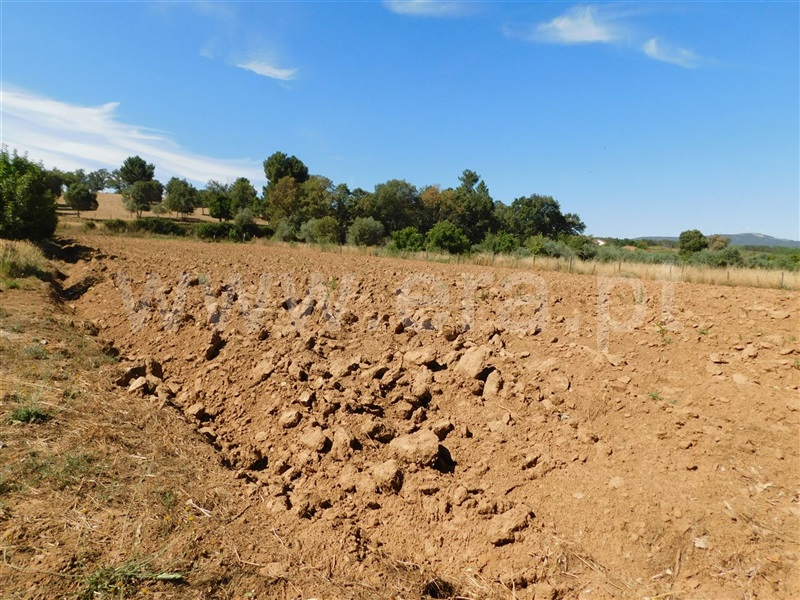 Terreno  Fundão, Souto da Casa - 1267417 - 3