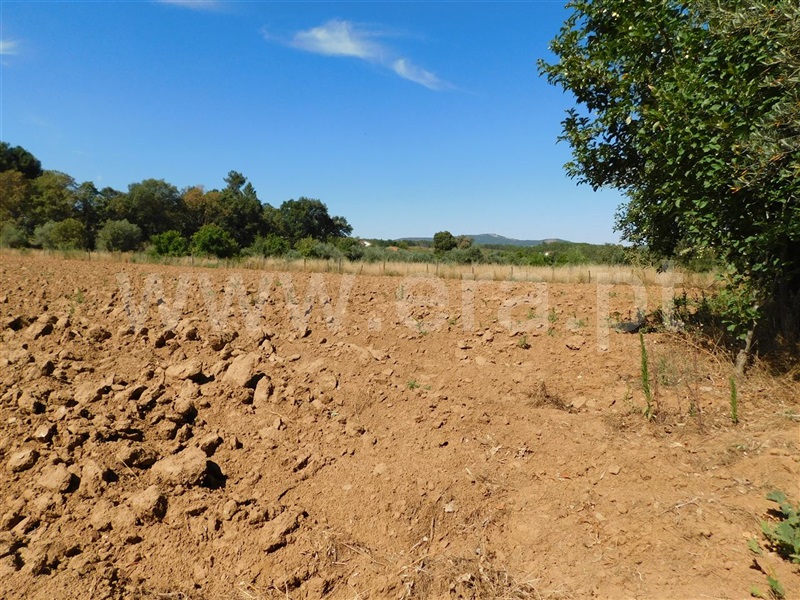 Terreno  Fundão, Souto da Casa - 1267417 - 5