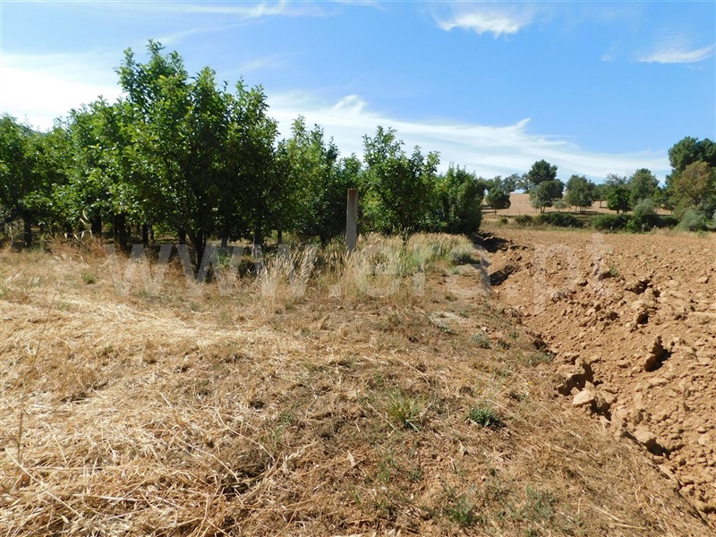 Terreno  Fundão, Souto da Casa - 1267417 - 6