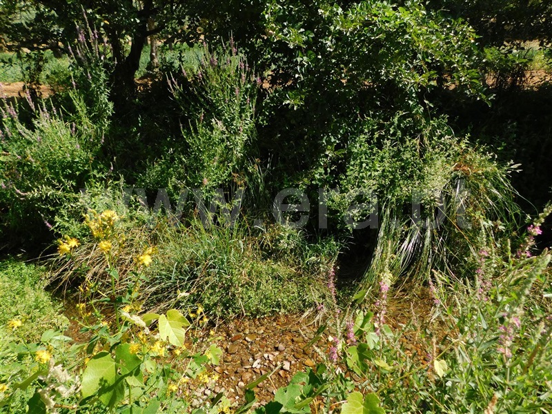 Terreno  Fundão, Souto da Casa - 1267417 - 8