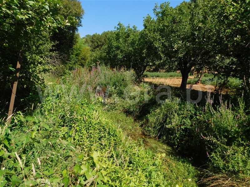 Terreno  Fundão, Souto da Casa - 1267417 - 9