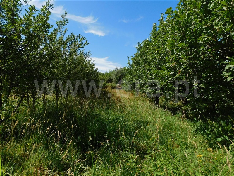 Terreno  Fundão, Souto da Casa - 1267417 - 10
