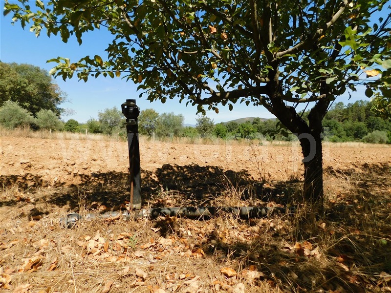 Terreno  Fundão, Souto da Casa - 1267417 - 14