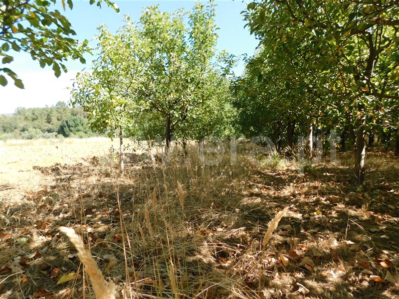 Terreno  Fundão, Souto da Casa - 1267417 - 15