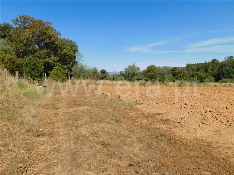 Terreno  Fundão, Souto da Casa - 1267417 - 17