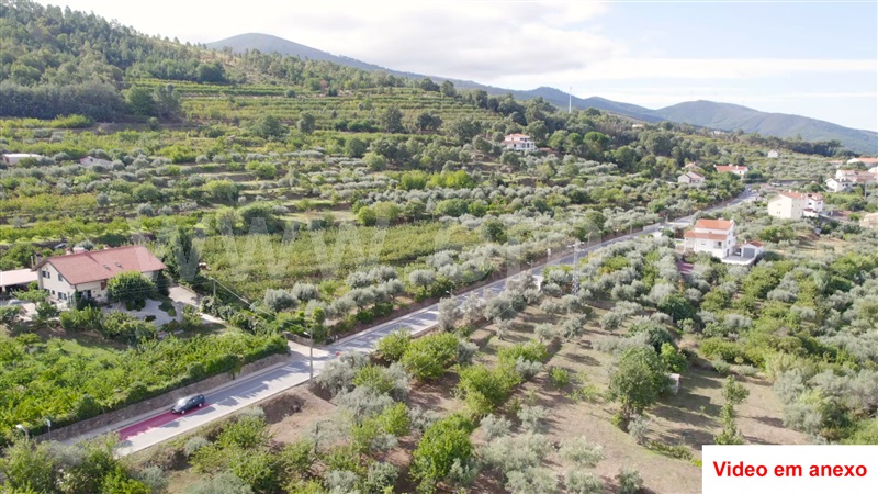 Terreno  Fundão, Souto da Casa - 1288215 - 3