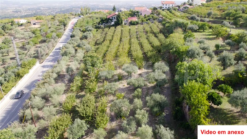 Terreno  Fundão, Souto da Casa - 1288215 - 6