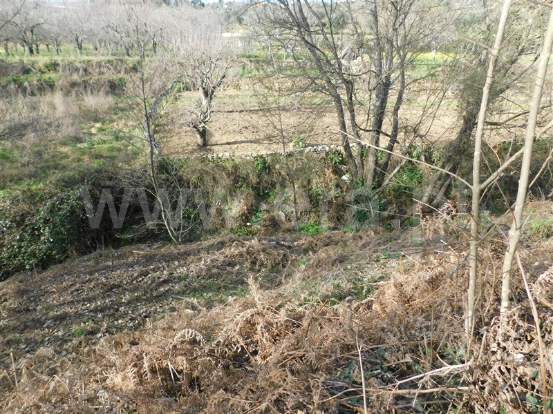 Terreno  Fundão, Souto da Casa - 1309657 - 3
