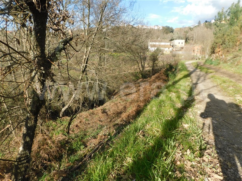 Terreno / Fundão, Souto da Casa